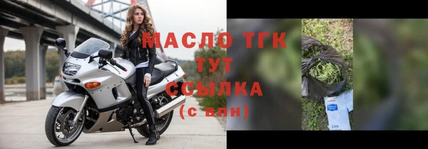 индика Инсар