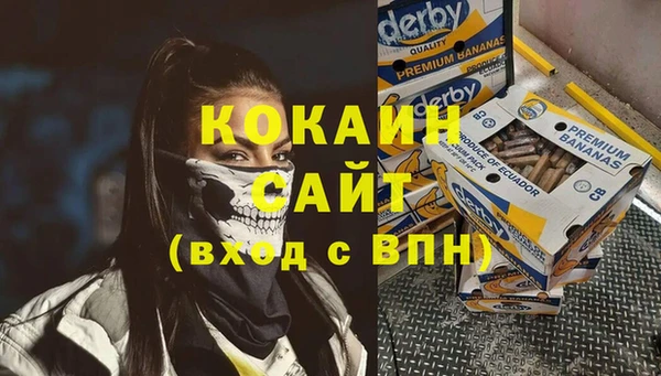 индика Инсар