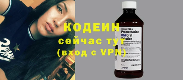 стаф Инта