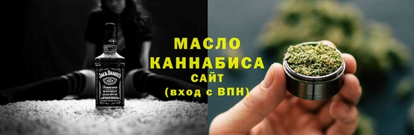 индика Инсар