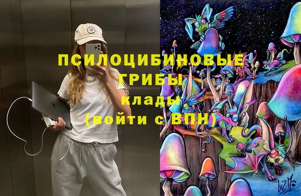 индика Инсар