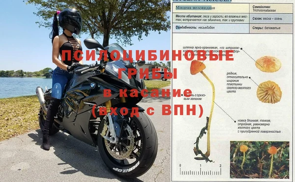 индика Инсар