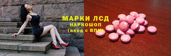 прущие грибы Иннополис
