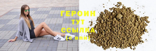 стаф Инта
