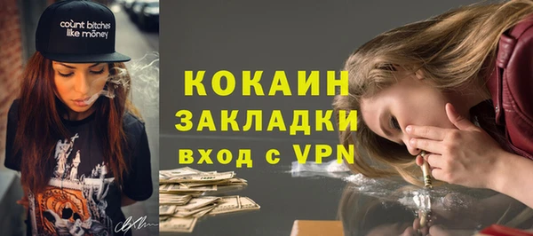индика Инсар