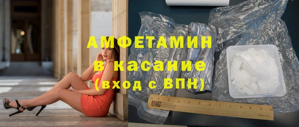 индика Инсар