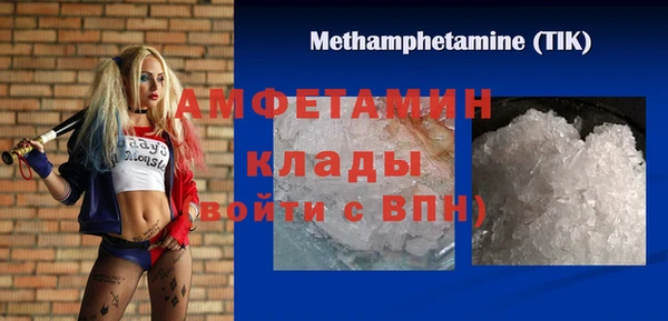 индика Инсар